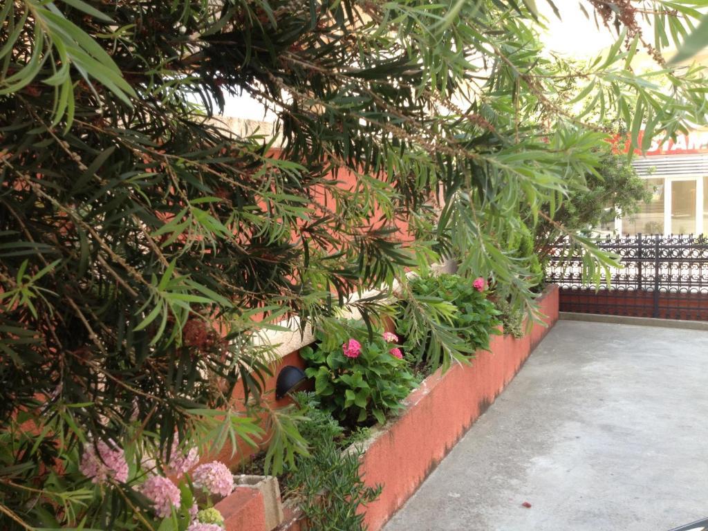 Apartments Boreta Budva Ngoại thất bức ảnh